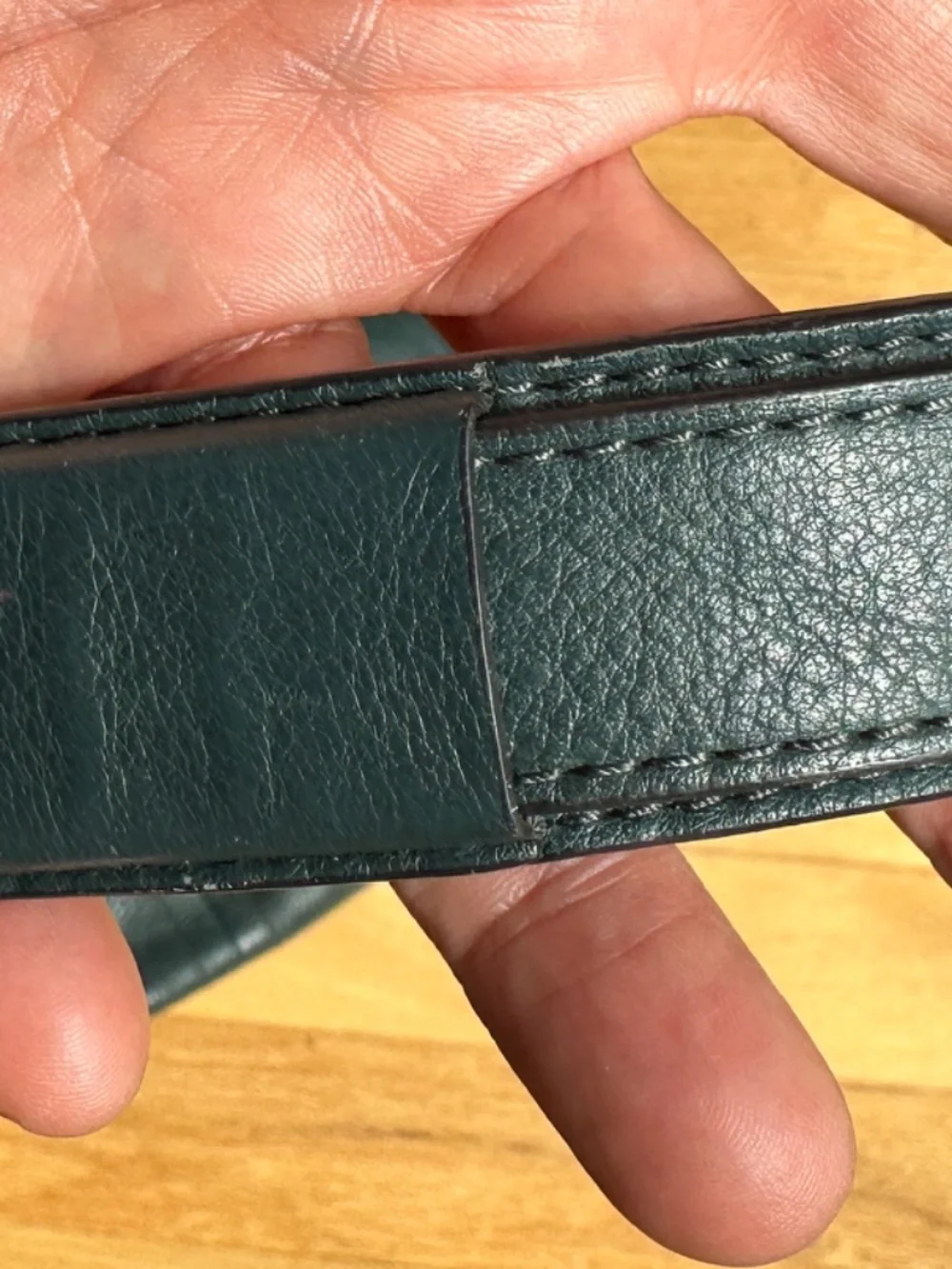Banana Republic Leather Purse Cross Body Strap Teal Green